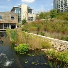 Minimizing Shrinkage and Cracking